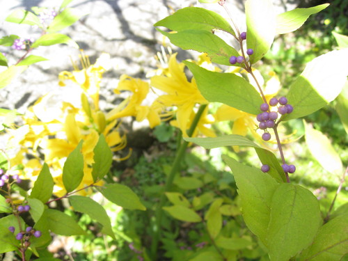 b0267163_16303632.jpg