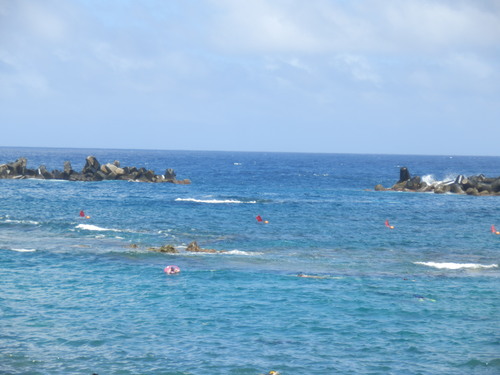 e0292172_20354250.jpg