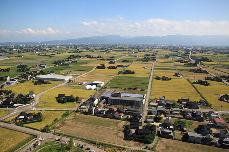 b0168274_9133241.jpg