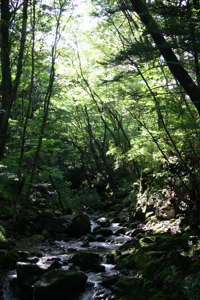 e0118274_1317368.jpg