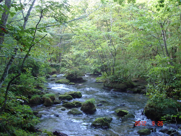 a0188775_1244598.jpg