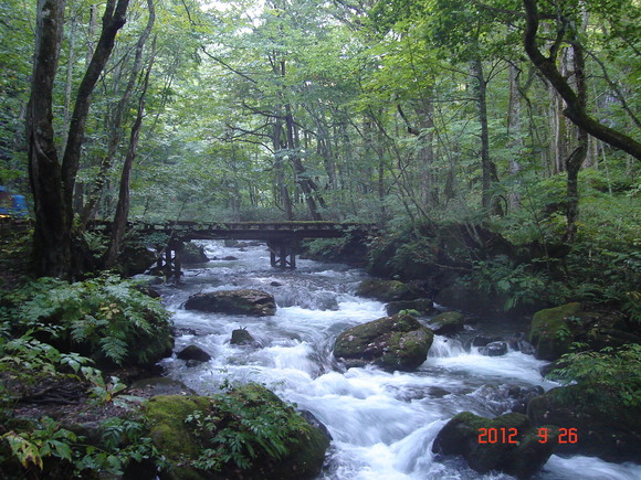 a0188775_126496.jpg