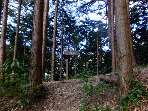 a0043982_19283490.jpg