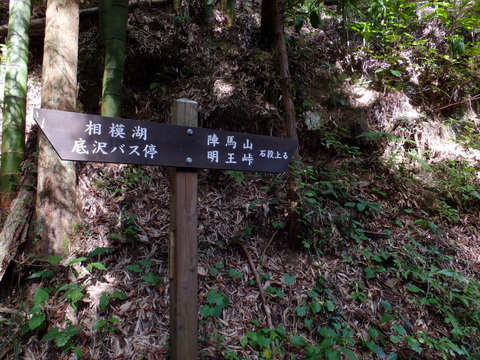 a0043982_19291636.jpg