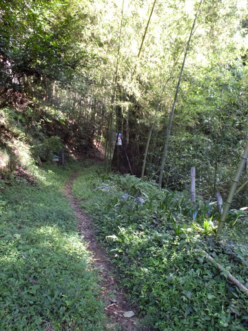 a0043982_19292475.jpg