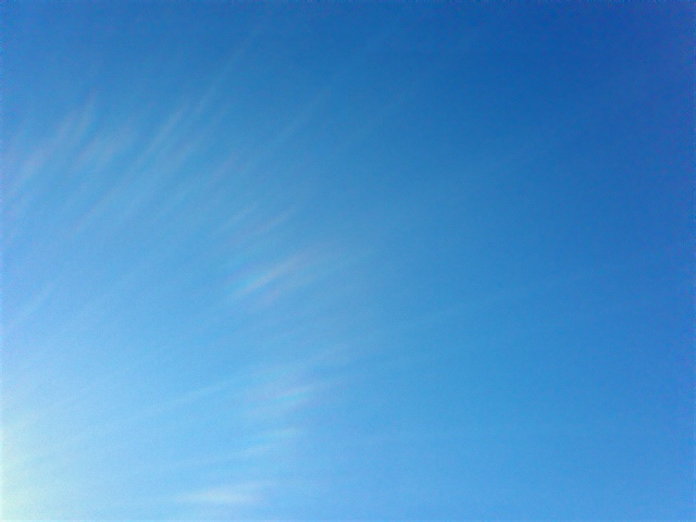 a0265287_153421100.jpg