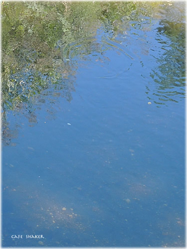 e0138787_2046844.jpg