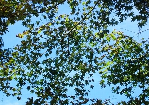 e0143690_2293550.jpg