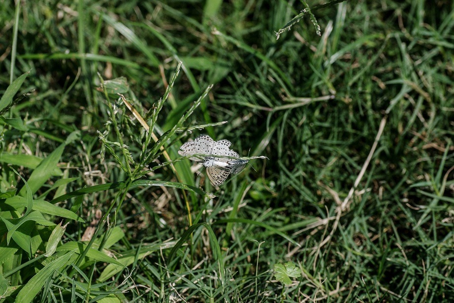 b0194593_17311619.jpg
