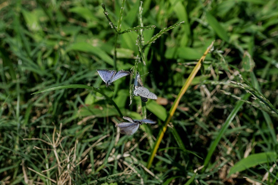 b0194593_1732369.jpg