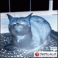 人気ブログランキングへ