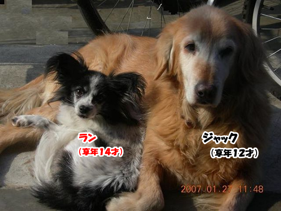 e0290901_17301521.png