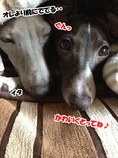 e0290901_17384470.png