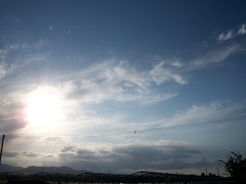 d0168003_1828356.jpg