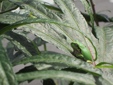 b0232804_20101460.jpg