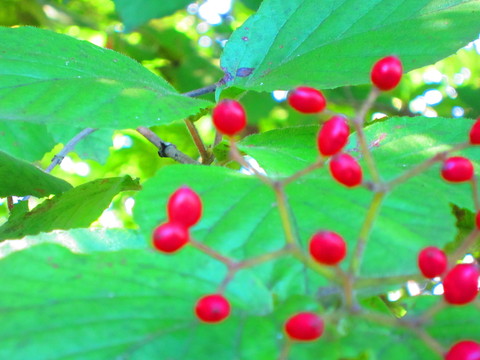 b0232804_2084981.jpg