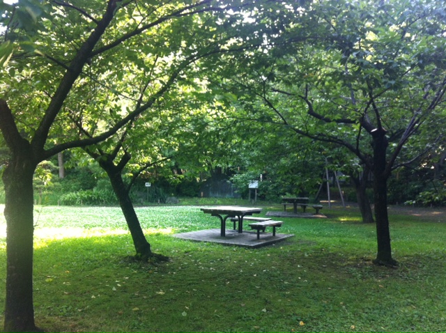 c0191005_21453577.jpg