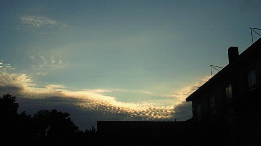 d0149105_2074845.jpg