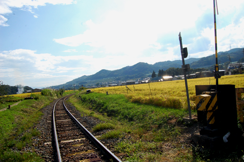 d0015006_17393.jpg