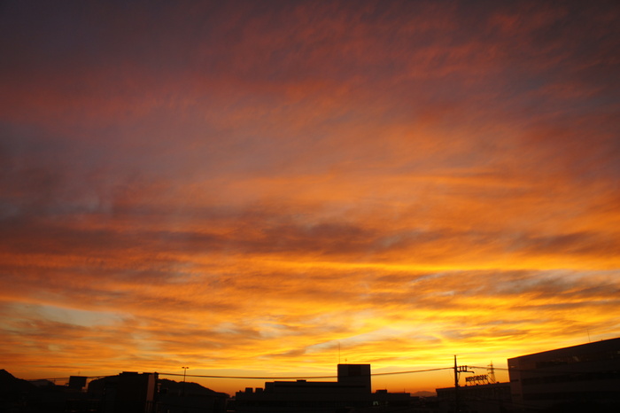 a0280907_16142940.jpg