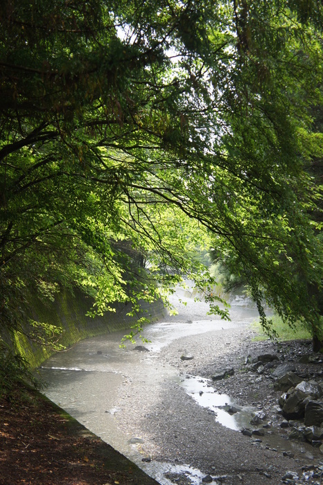 a0280907_16223386.jpg