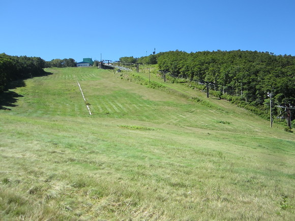 d0034609_1231816.jpg