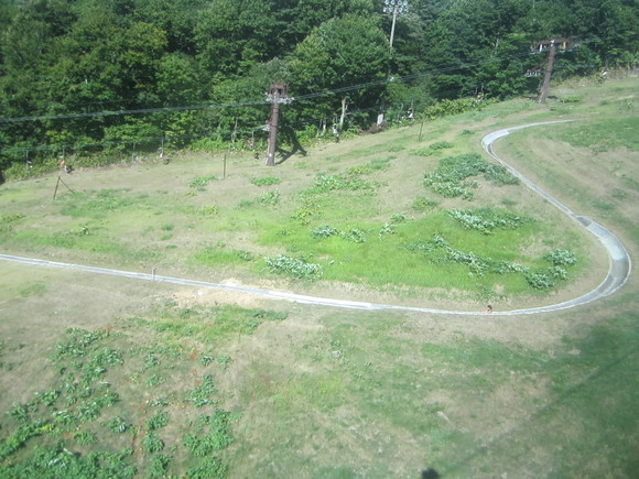 d0034609_127359.jpg