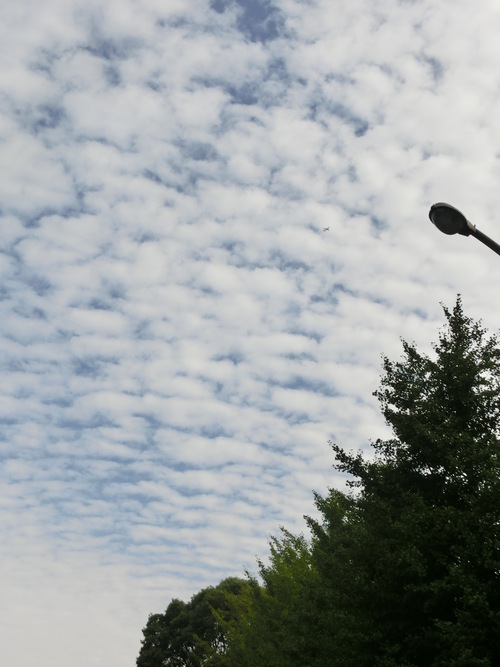 e0254813_1235576.jpg