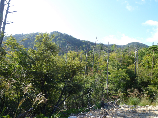 d0170615_2325690.jpg