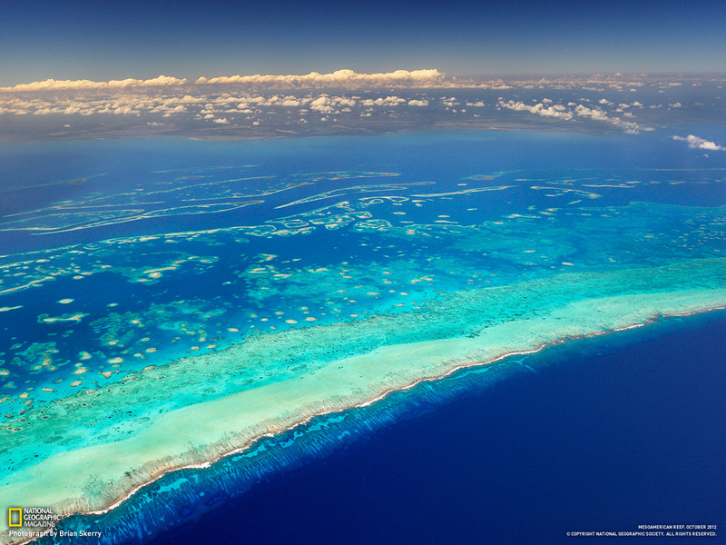 b0150018_1652650.jpg