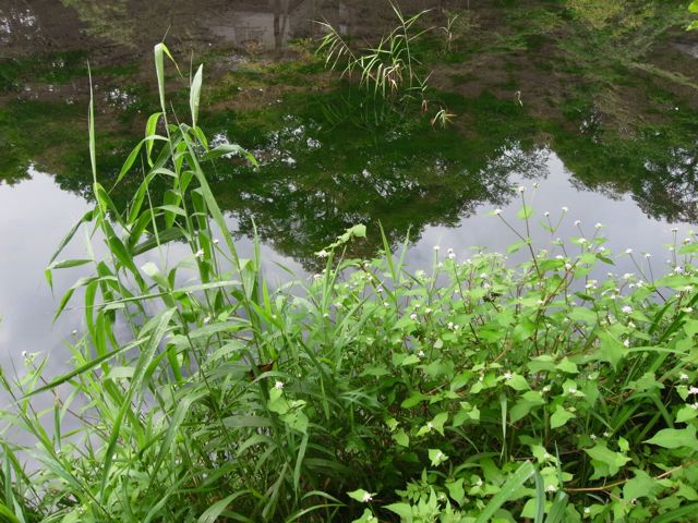 d0251120_2313213.jpg