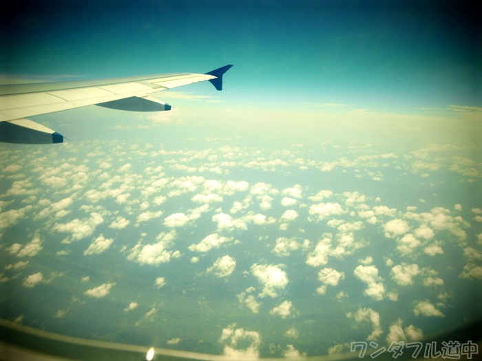 b0246322_115865.jpg
