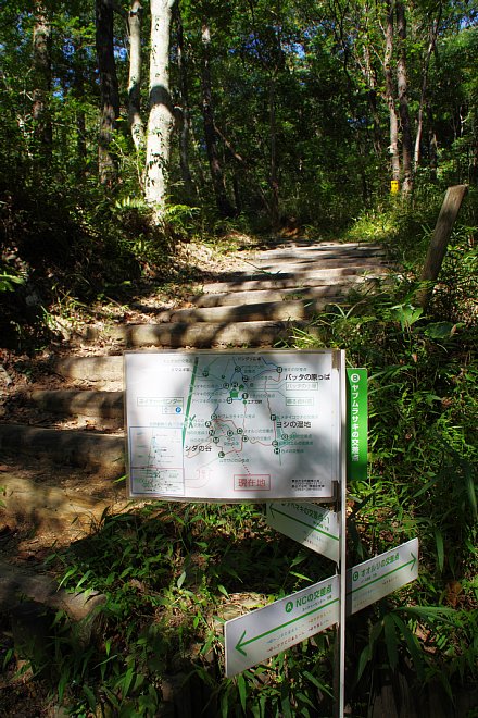 b0134829_21232258.jpg