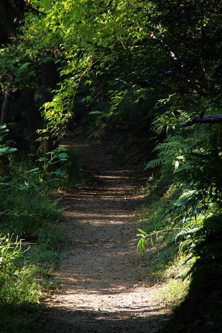 b0134829_21235854.jpg