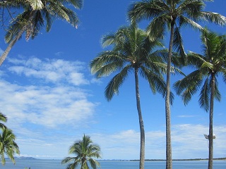 c0051529_9595516.jpg