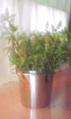 e0107030_18561840.jpg