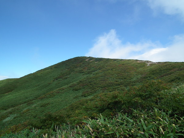 f0118332_2347788.jpg
