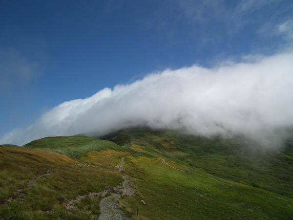f0118332_2349373.jpg