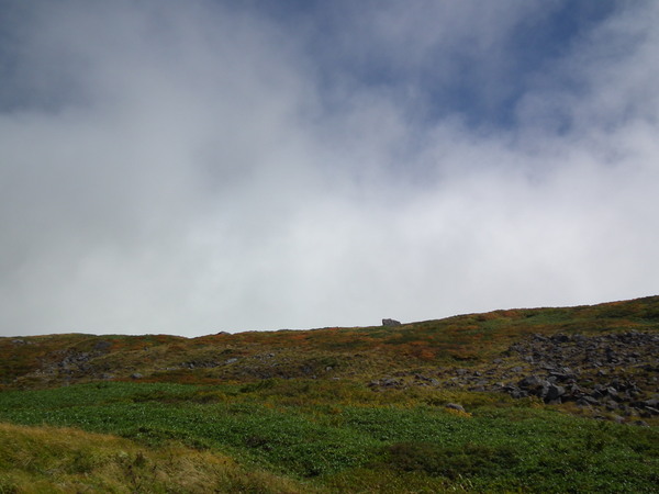 f0118332_235121100.jpg