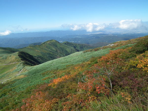 f0118332_23513948.jpg