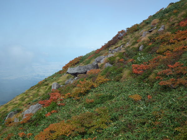 f0118332_23525998.jpg