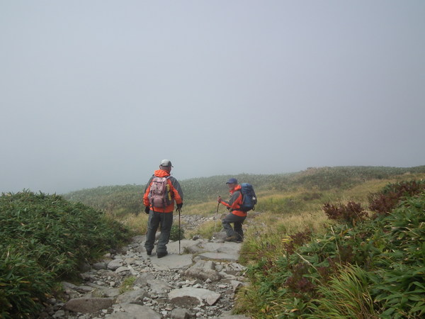 f0118332_2353168.jpg