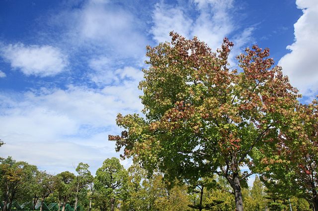 a0242438_2013686.jpg