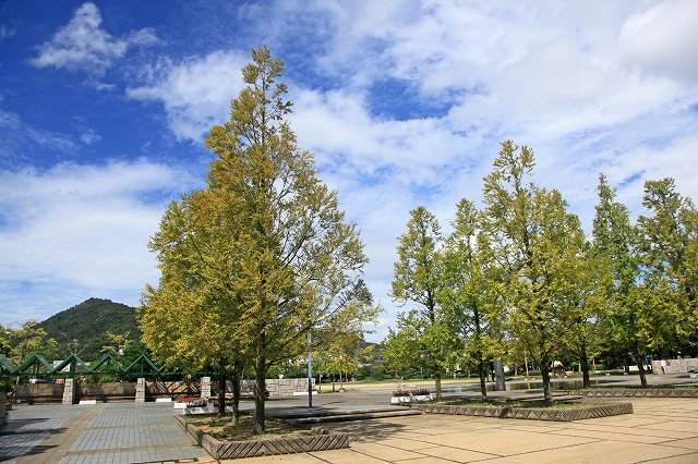 a0242438_2014296.jpg