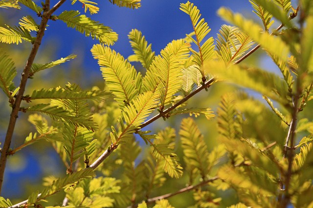 a0242438_2014870.jpg