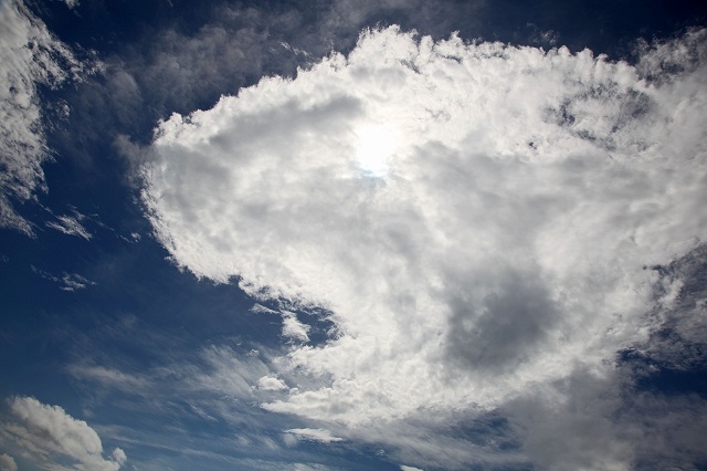 a0242438_2025397.jpg