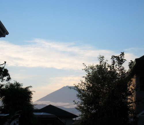 b0178339_19263081.jpg