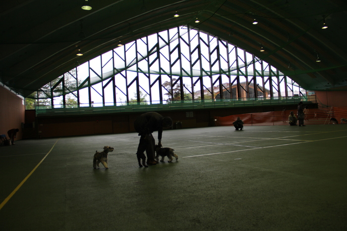 e0227139_22501086.jpg