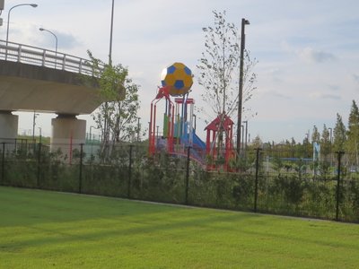 a0142343_11125.jpg
