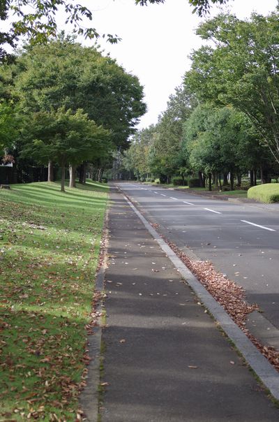 e0019550_92302.jpg